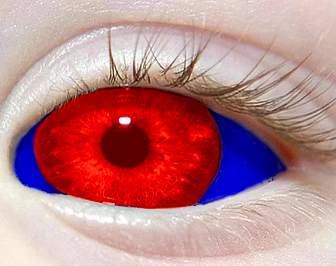 A Reverent's eye.